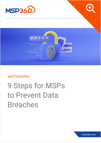 9 Steps for MSPs to Prevent Data Breaches