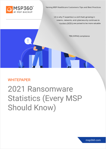 2021 Ransomware Statistics preview 2