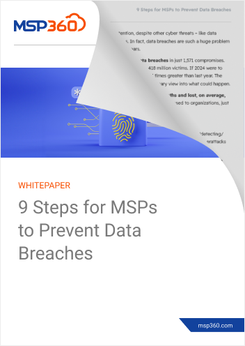 9 Steps for MSPs to Prevent Data Breaches