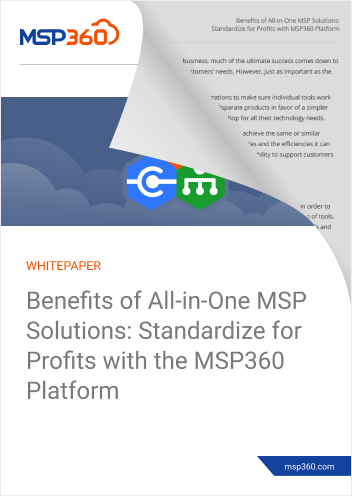 Benefits of All-in-One MSP Solutions preview 2 (1)