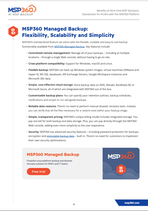 Benefits of All-in-One MSP Solutions preview 5-1