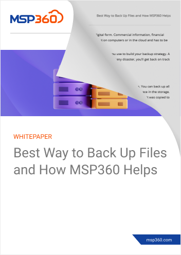 Best Way to Back Up Files and How MSP360 Helps preview 2 (1)