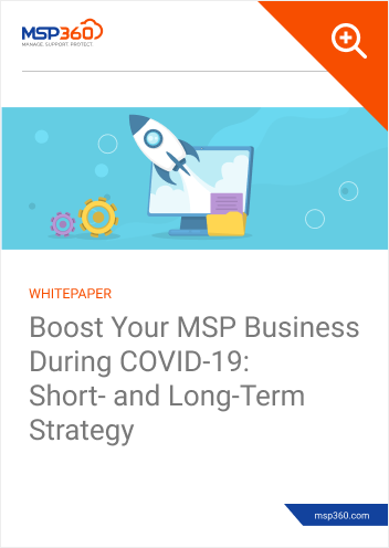 Boost Your MSP Business preview 1