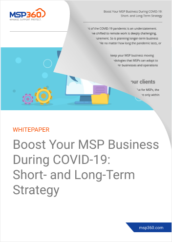 Boost Your MSP Business preview 2