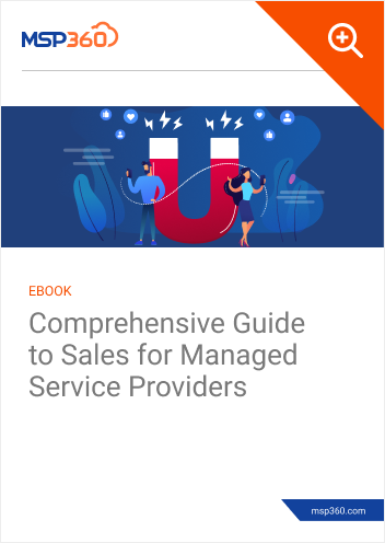 Comprehensive Guide to Sales for Managed Service Providers preview 1