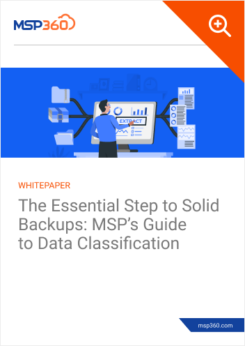Data Classification Guide preview 1