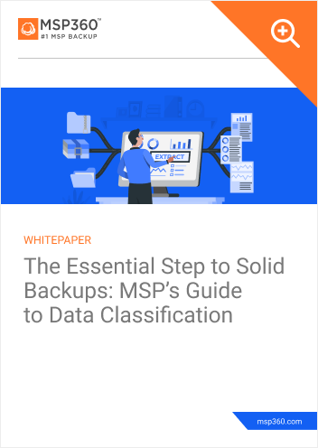 Data Classification Guide preview 1