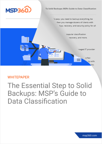 Data Classification Guide preview 2