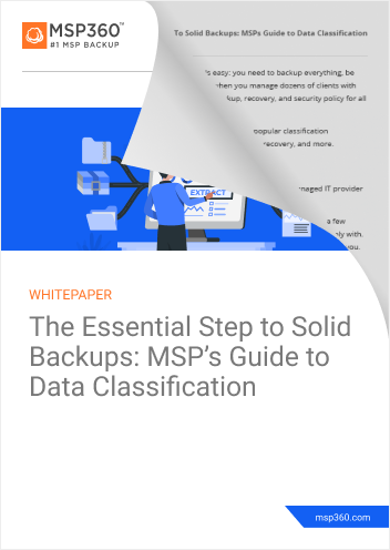 Data Classification Guide preview 2