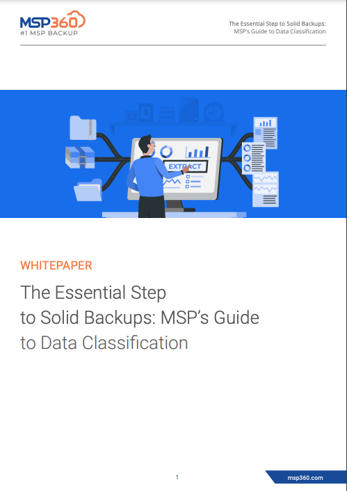 Data Classification Guide preview 3