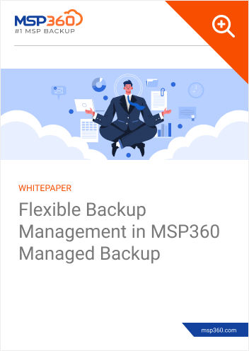 Flexible Backup Management in MSP360 Managed Backup preview 1-1
