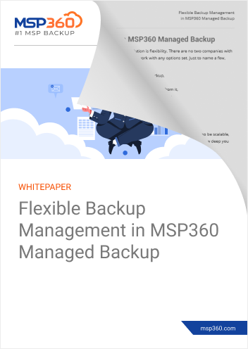 Flexible Backup Management in MSP360 Managed Backup preview 2-1