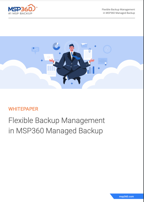 Flexible Backup Management in MSP360 Managed Backup preview 3