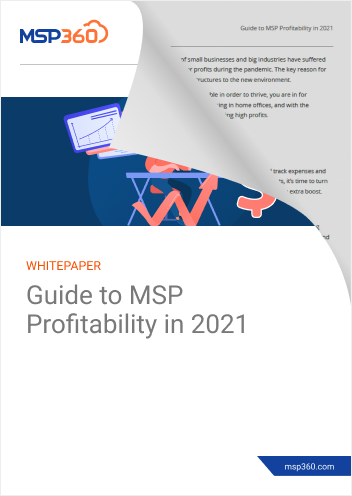 Guide to MSP Profitability preview 2