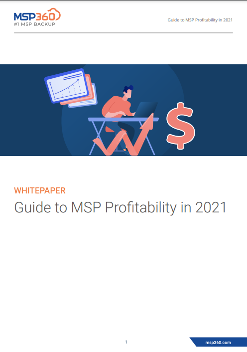 Guide to MSP Profitability preview 3