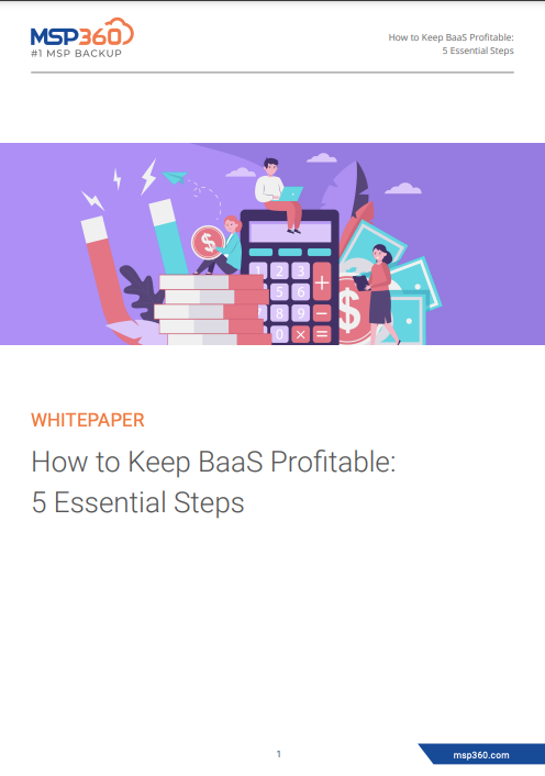 How to Keep BaaS Profitable preview 3