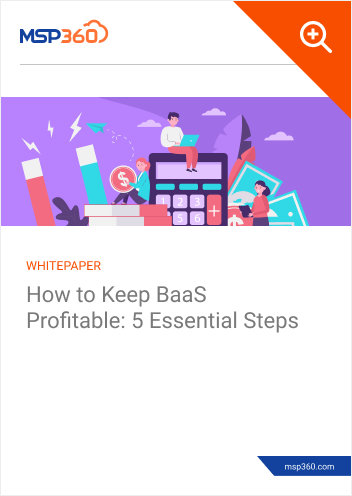 How to keep BaaS profitable preview 1