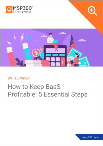 How to keep BaaS profitable preview 1