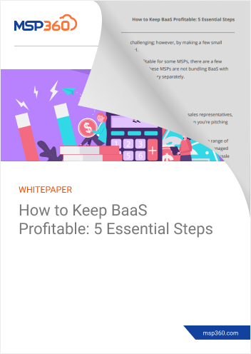 How to keep BaaS profitable preview 2