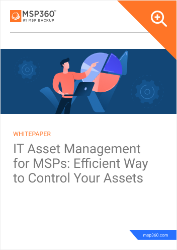 IT Asset Management for MSPs Efficient Way to Control Your Assets