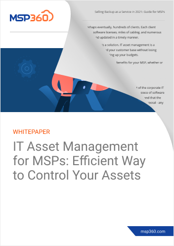 IT Asset Management for MSPs preview 2
