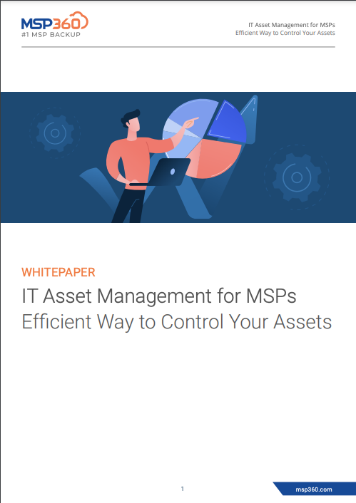 IT Asset Management for MSPs preview 3