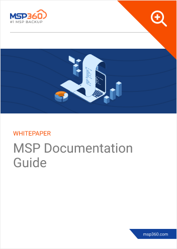 MSP Documentation Guide preview 1