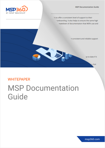 MSP Documentation Guide preview 2
