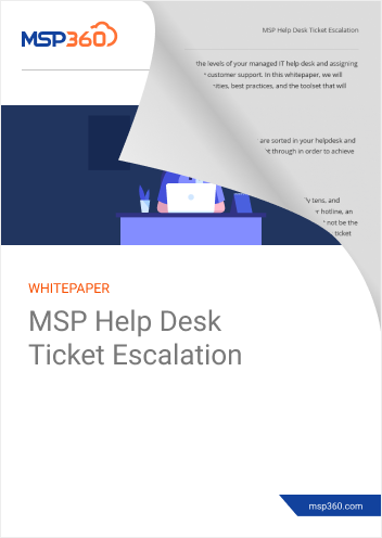 MSP Help Desk Ticket Escalation preview 2