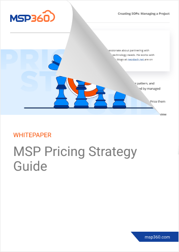 MSP Pricing Strategy Guide preview 2