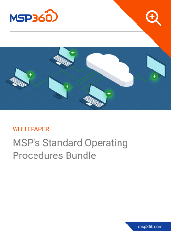 MSPs Standard Operating Procedures Bundle preview 1