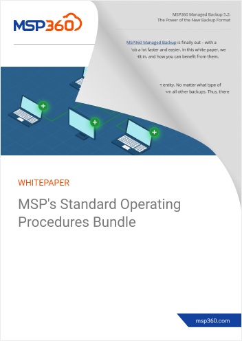 MSPs Standard Operating Procedures Bundle preview 2