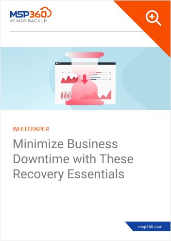 Minimize Business Downtime with These Recovery Essentials preview 1