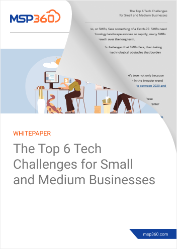 The Top 6 Tech Challenges for Small and Medium Businesses preview 2