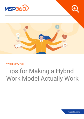 Tips for Making a Hybrid Work Model Actually Work preview 1