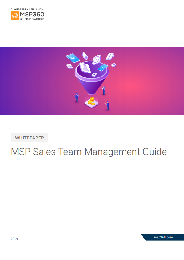 sales team management preview